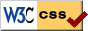 validation css
